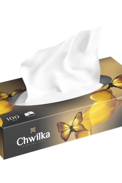 Chwilka chusteczki higieniczne w kartoniku 100 szt.